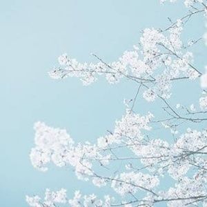 Meet your Posher, Ashlyn